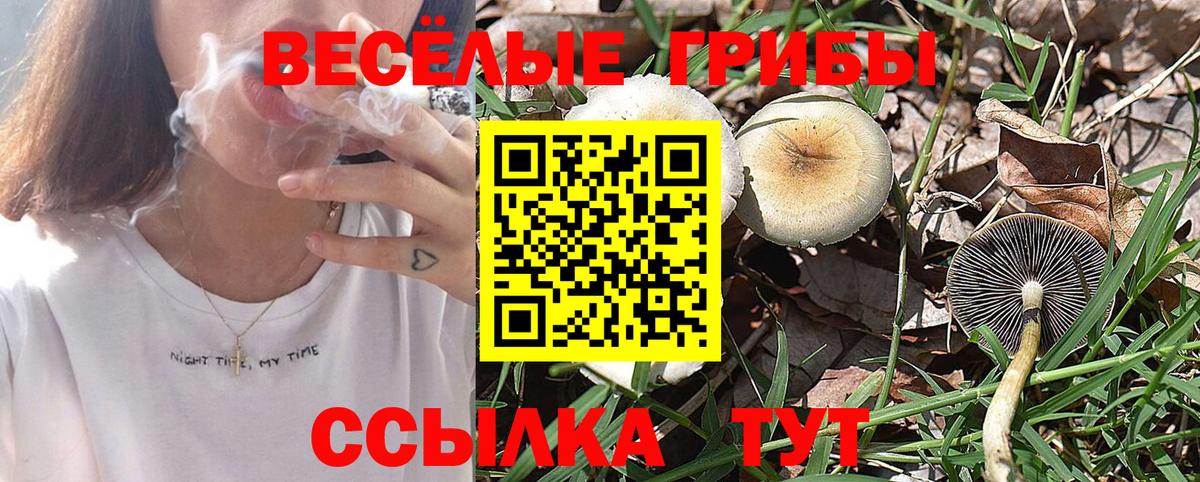 Псилоцибиновые грибы прущие грибы  Вход с VPN  Котельники 