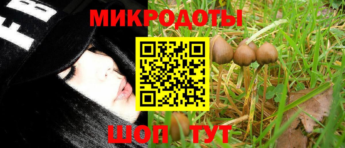 Галлюциногенные грибы MAGIC MUSHROOMS Котельники